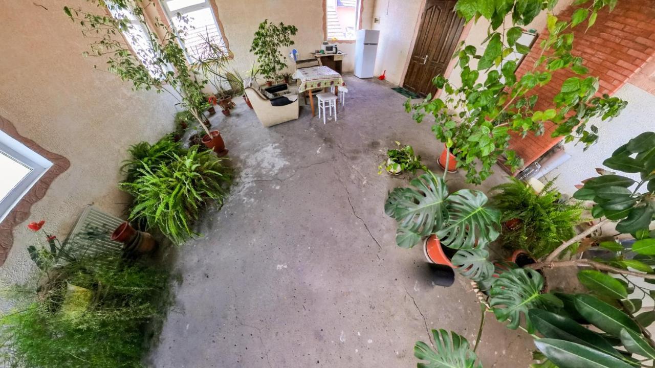 La Vitalie Guest House تشيسيناو المظهر الخارجي الصورة