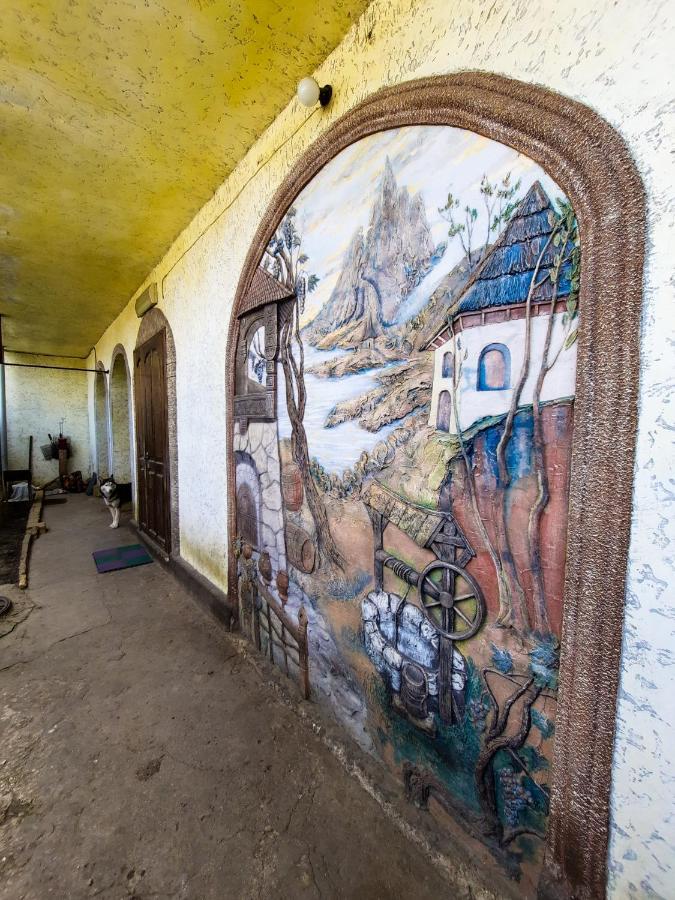 La Vitalie Guest House تشيسيناو المظهر الخارجي الصورة